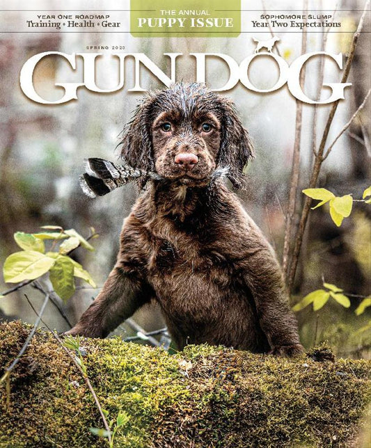 Gun Dog