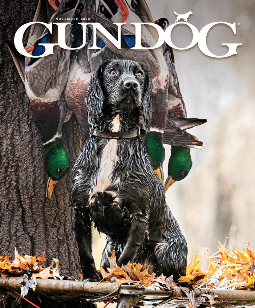 Gun Dog