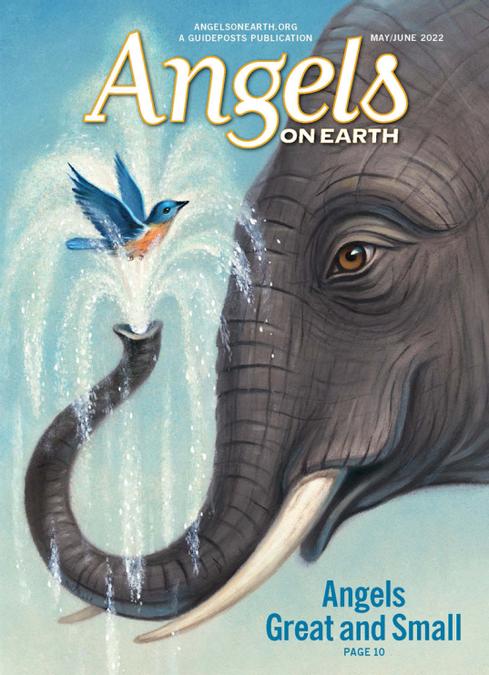 Angels on Earth
