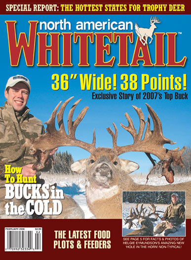 North American Whitetail