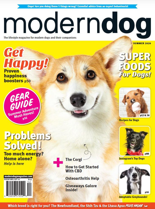 Modern Dog Magazine (2 yr term)