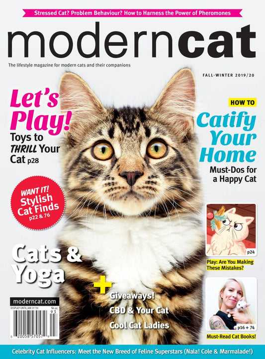 Modern Cat Magazine (2 yr term)