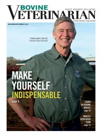 Bovine Veterinarian