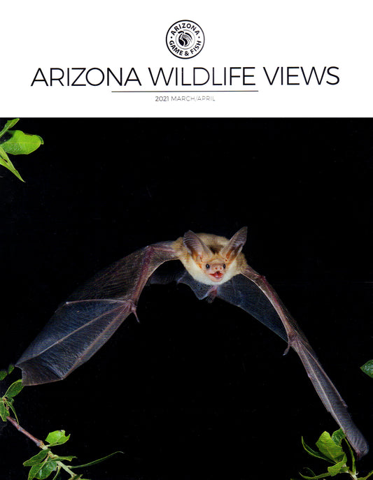 Arizona Wildlife Views