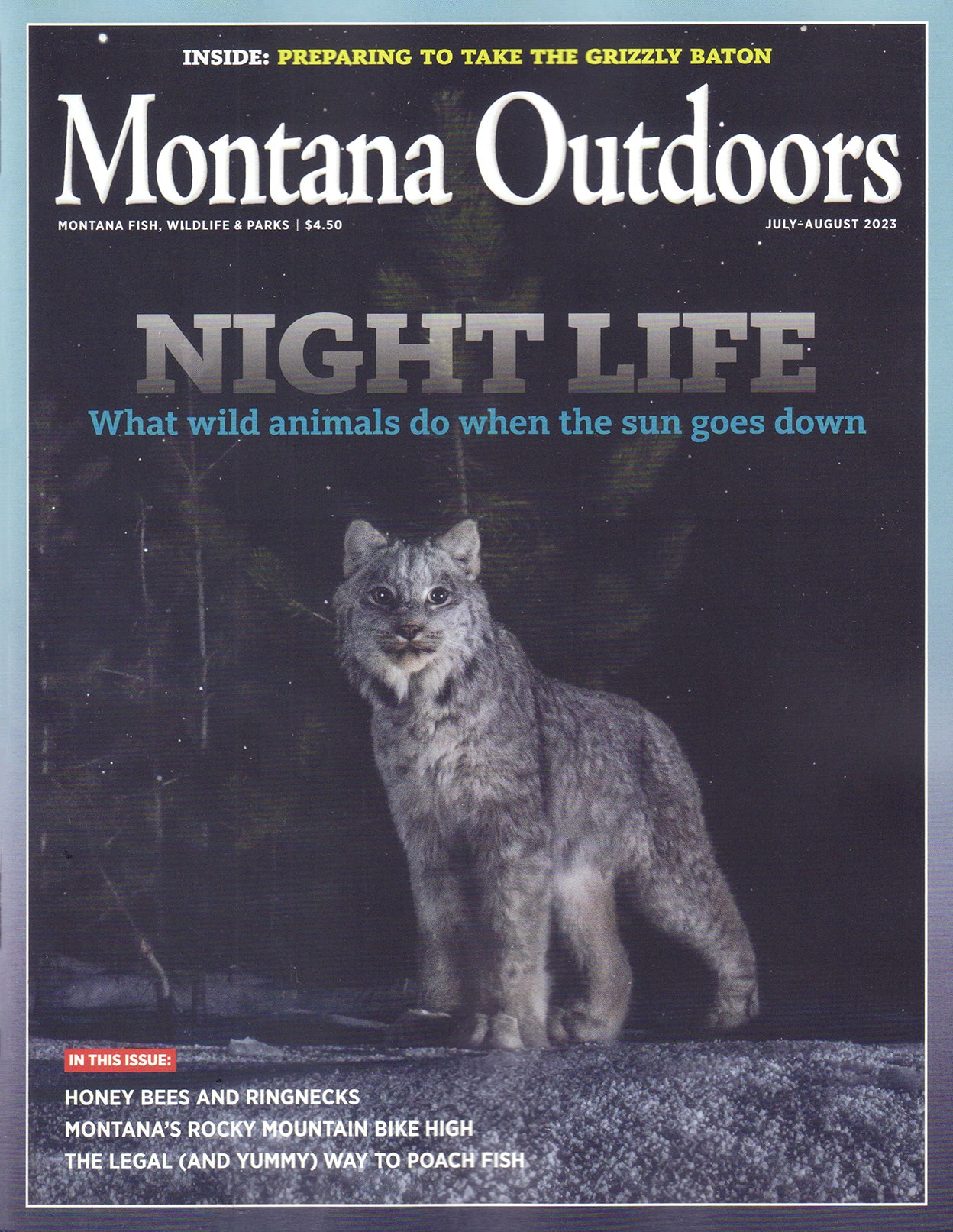 Montana Outdoors