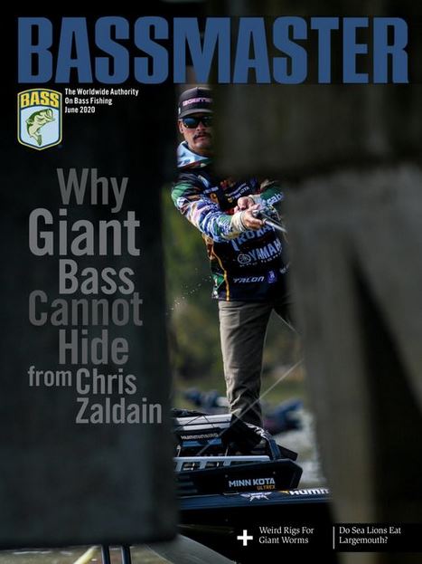 Bassmaster