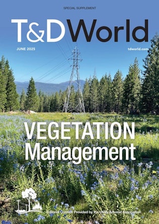 Transmission and Distribution World - Digital