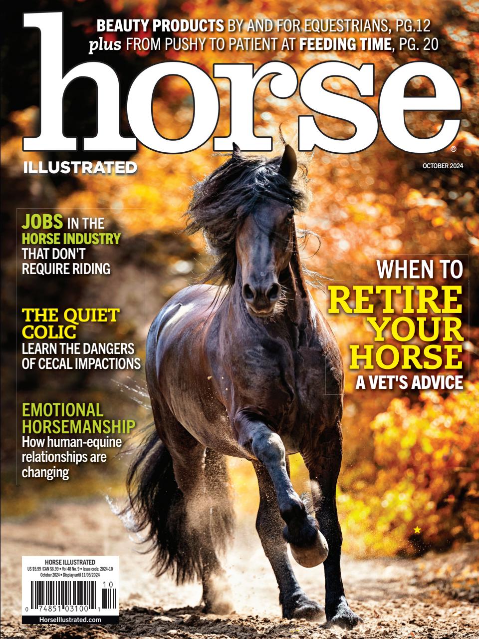 Horse Illustrated - Digital