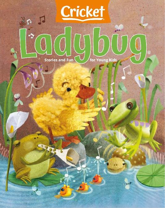Ladybug