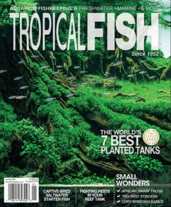 Tropical Fish Hobbyist