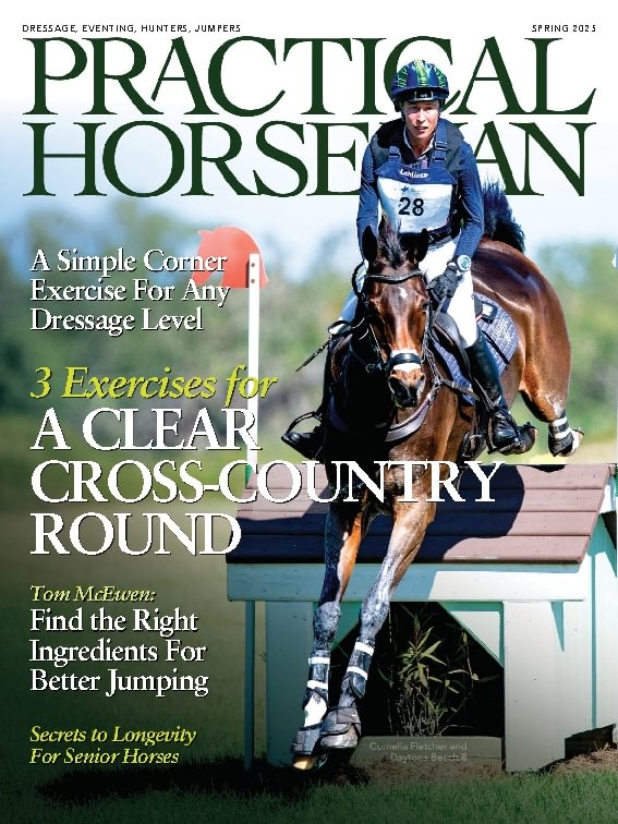 Practical Horseman