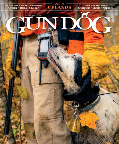 Gun Dog