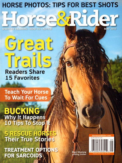 Horse & Rider