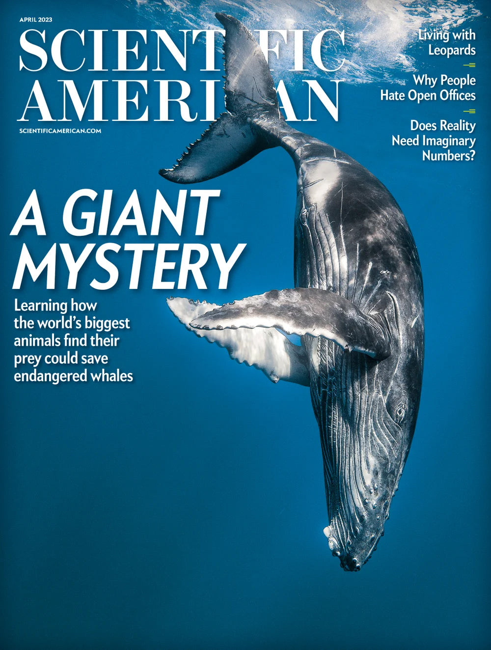 Scientific American