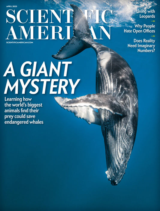 Scientific American
