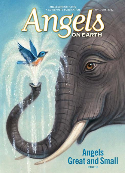 Angels on Earth