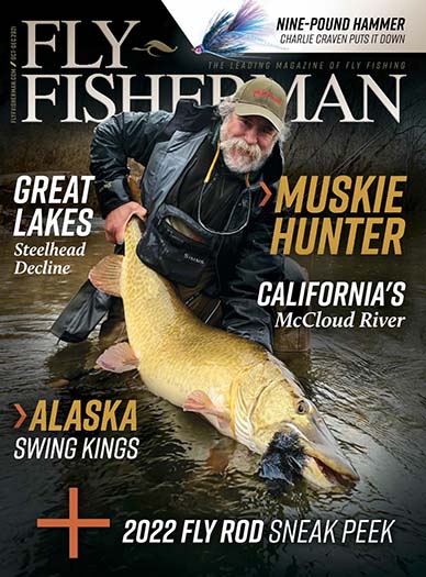 Fly Fisherman