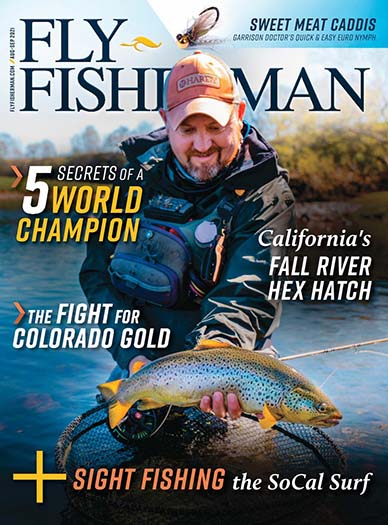Fly Fisherman