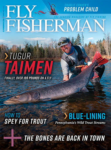 Fly Fisherman