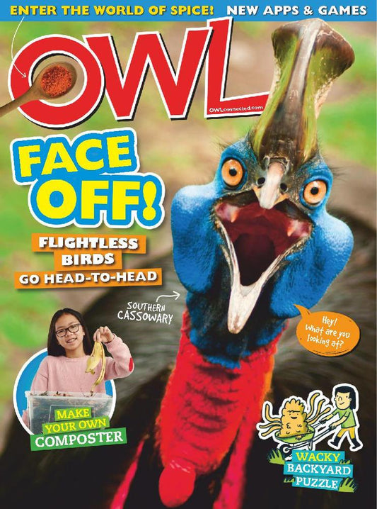 Owl