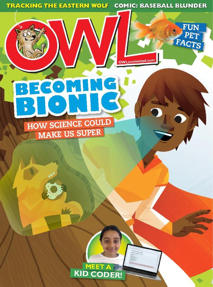Owl