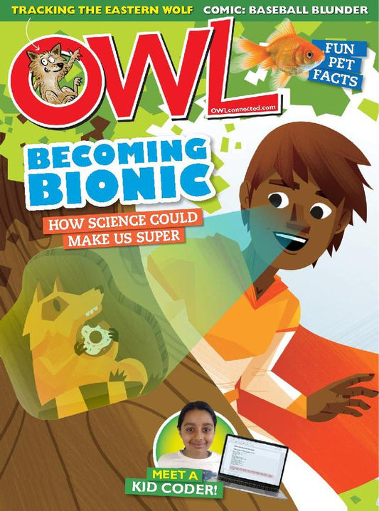 Owl