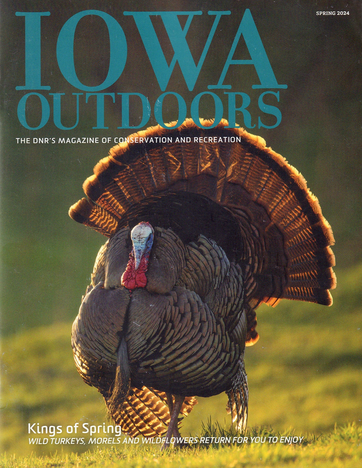 Iowa Outdoors Magazine Subscription for $15.00 at MagazineValues.com ...