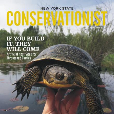 Conservationist
