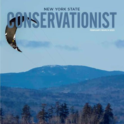 Conservationist