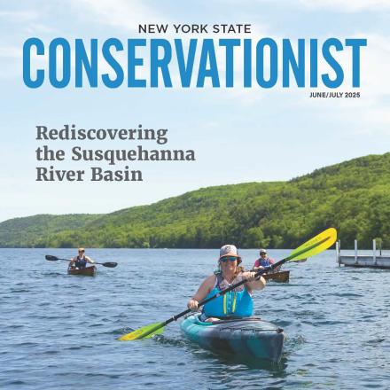 Conservationist