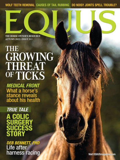 Equus