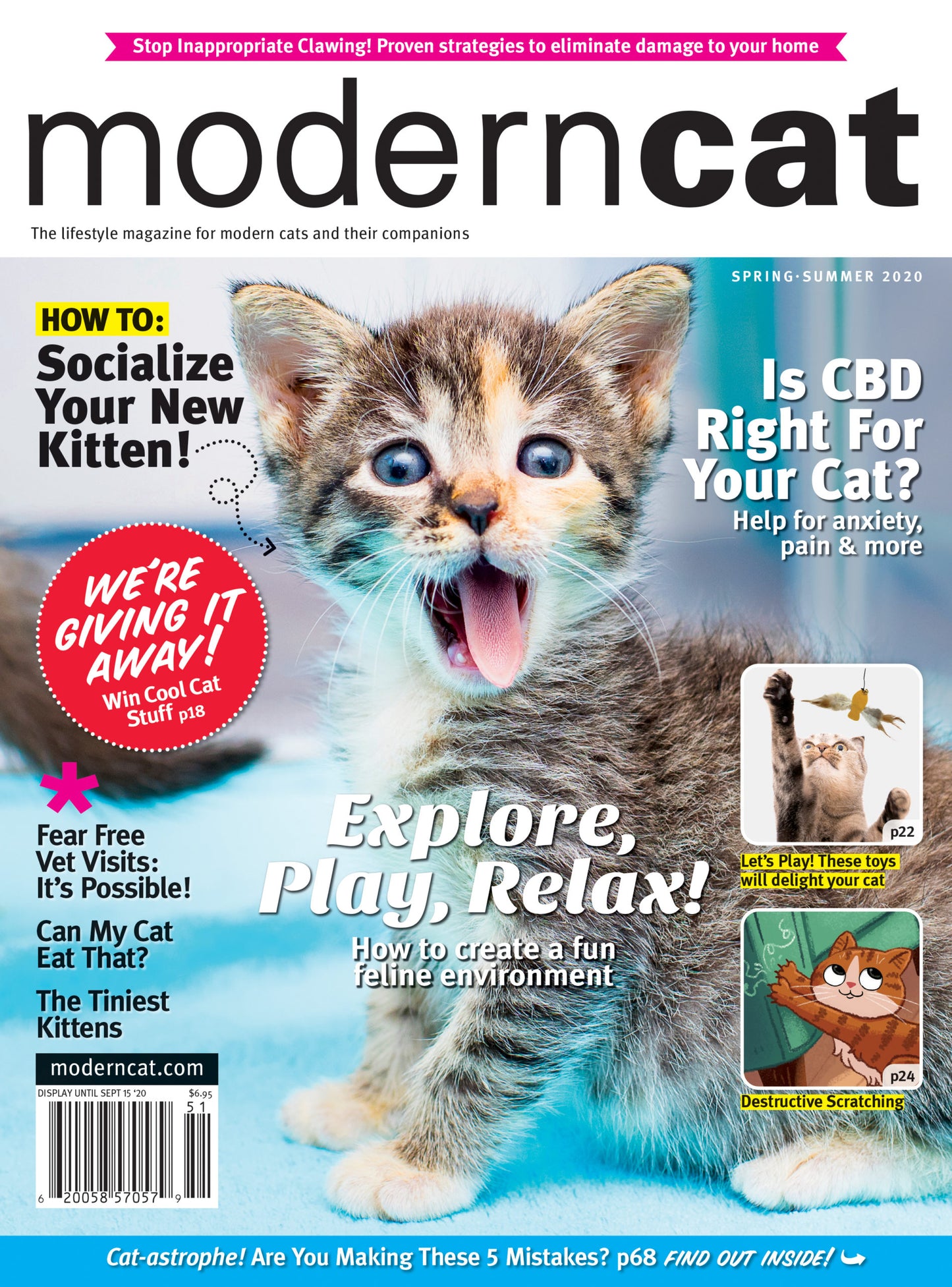 Modern Cat Magazine (2 yr term)