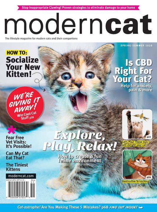 Modern Cat Magazine (2 yr term)
