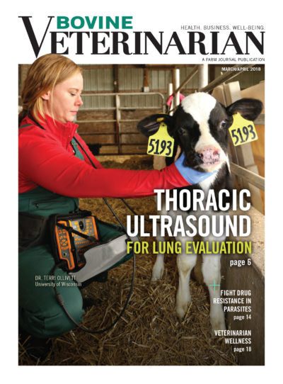 Bovine Veterinarian