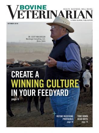 Bovine Veterinarian