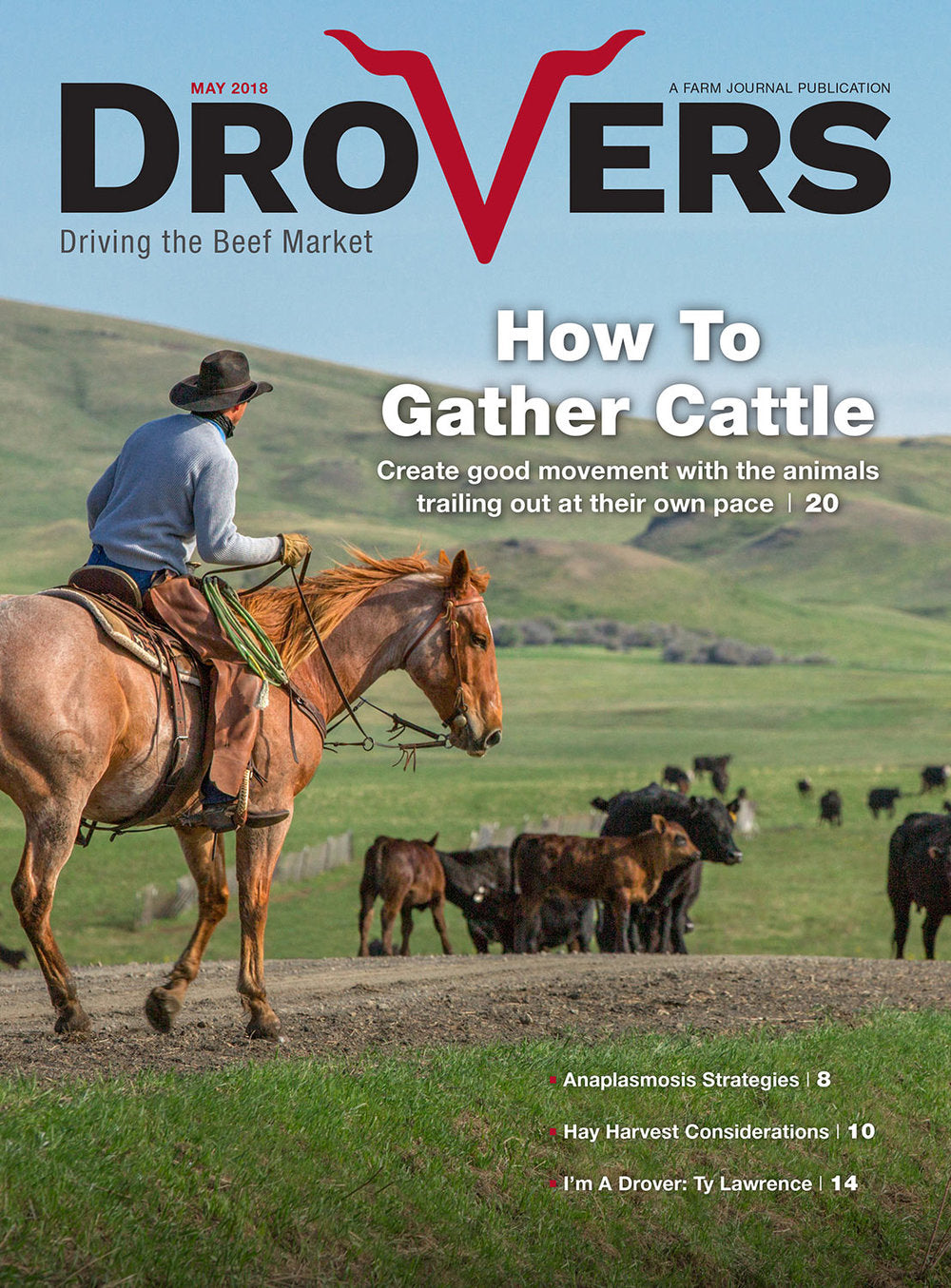 Drovers Cattle Network