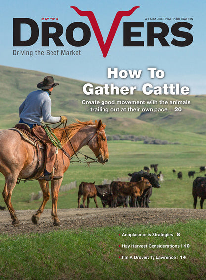 Drovers Cattle Network