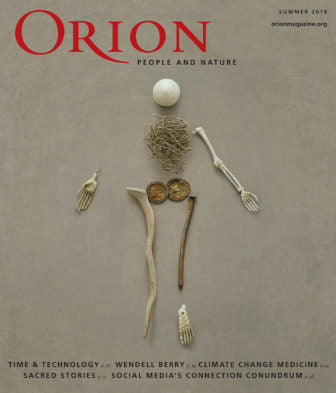 Orion