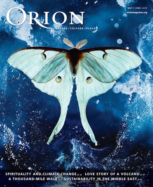 Orion