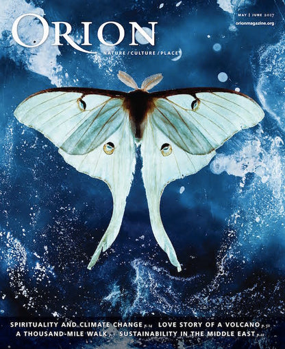 Orion
