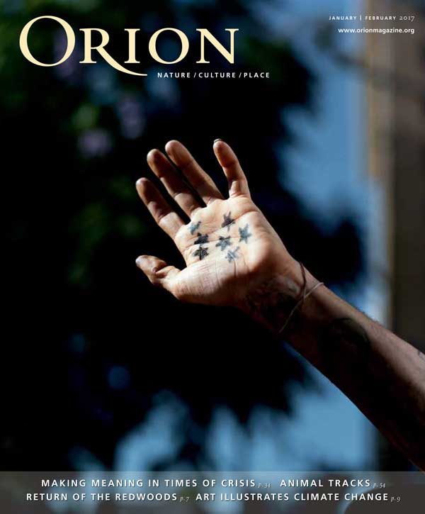 Orion