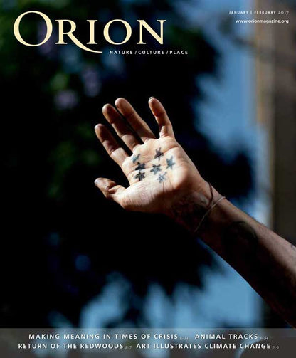 Orion