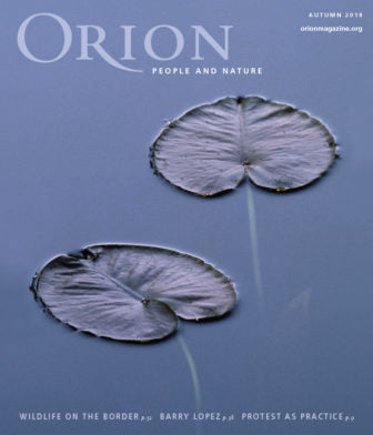 Orion
