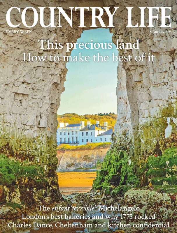 Country Life Special (UK)