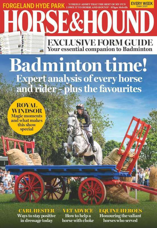 Horse & Hound (UK)
