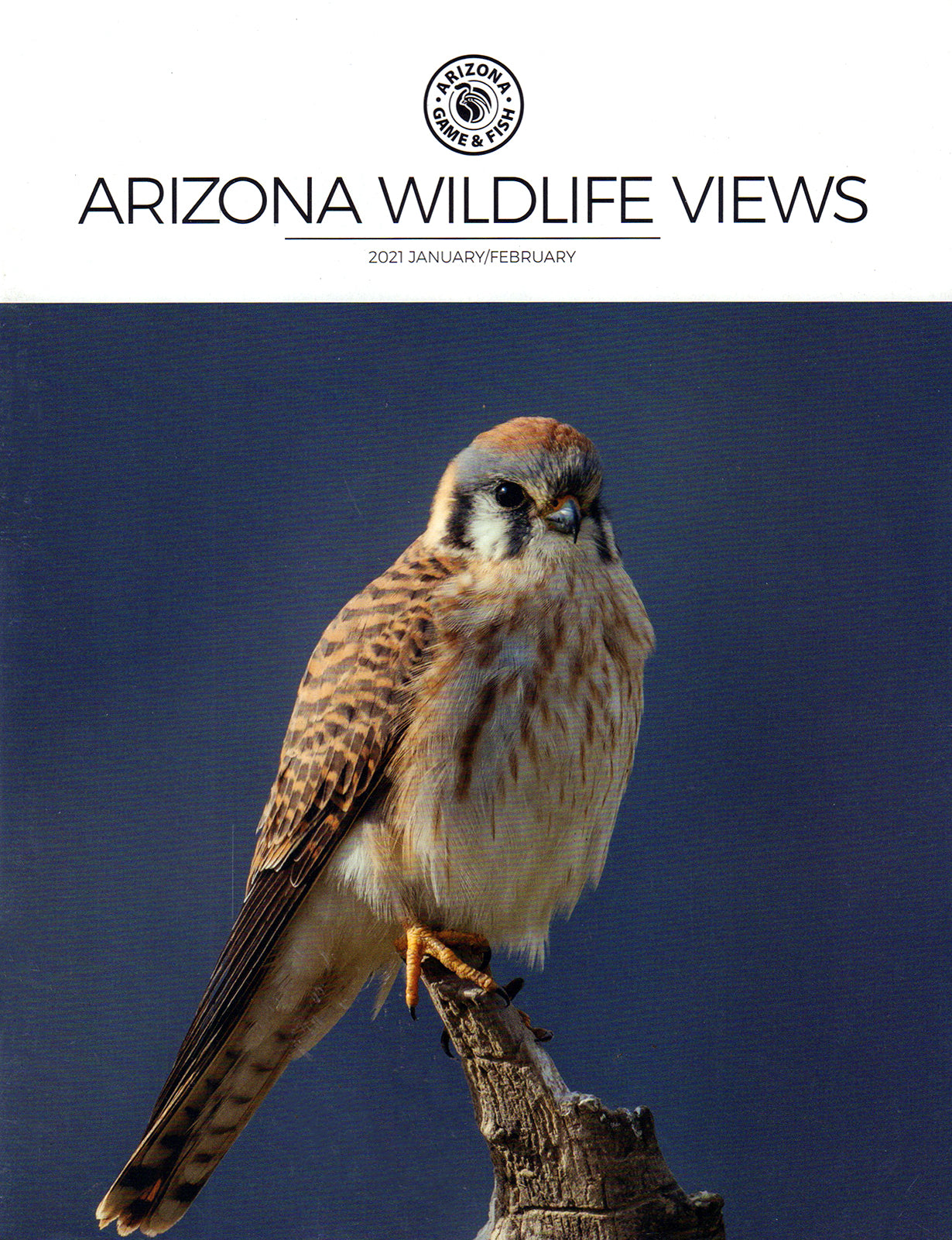 Arizona Wildlife Views