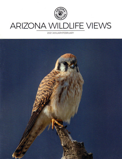 Arizona Wildlife Views