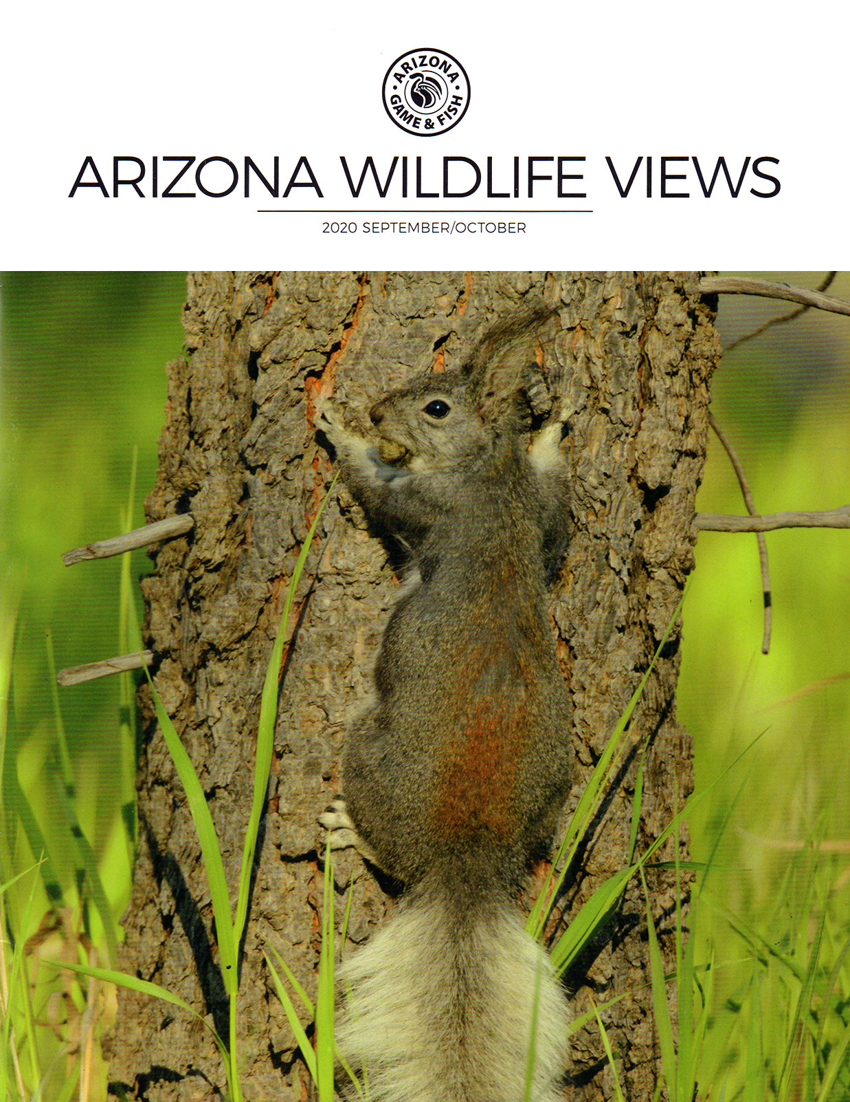 Arizona Wildlife Views