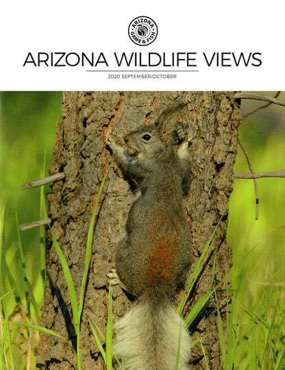 Arizona Wildlife Views