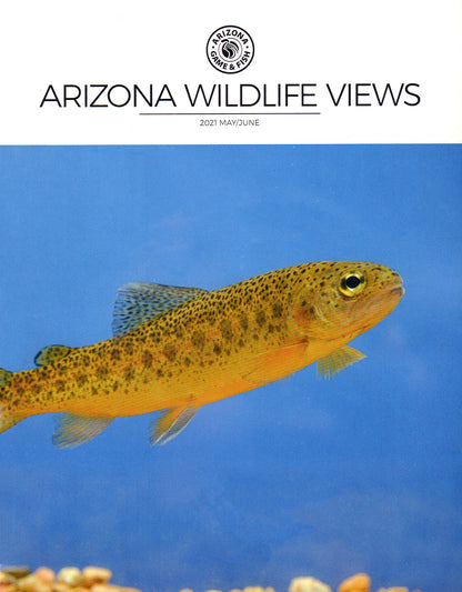 Arizona Wildlife Views